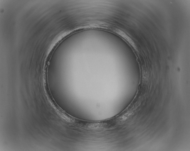 X0000068311093200605051524