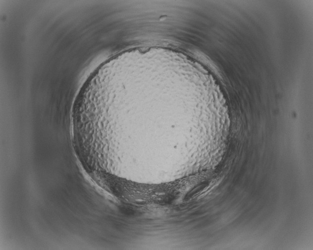 X0000068311095200605051524