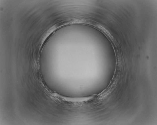 X0000068311097200605051524