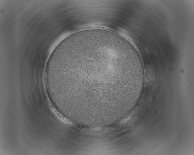 X0000068311098200605051524