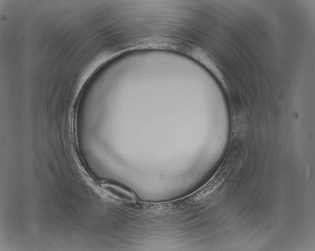 X0000068311099200605051524