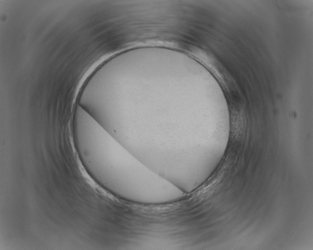 X0000068311100200605051524