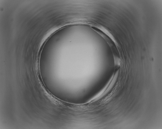 X0000068311101200605051524