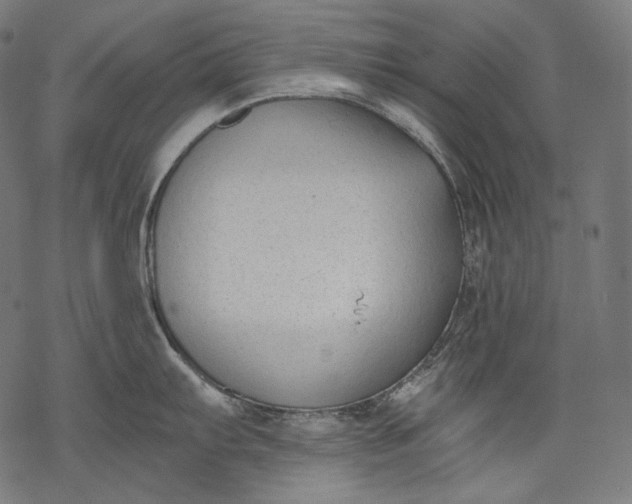 X0000068311103200605051524