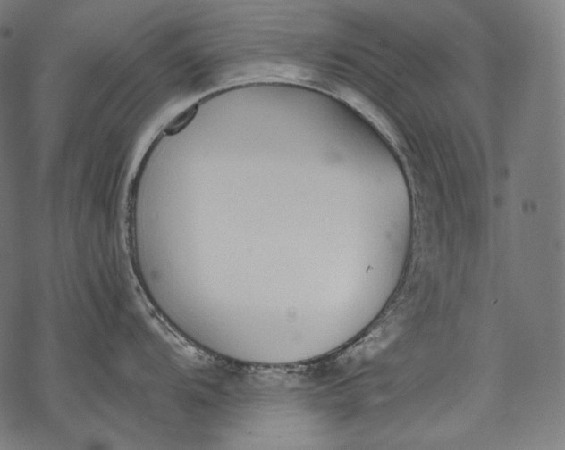 X0000068311104200605051524