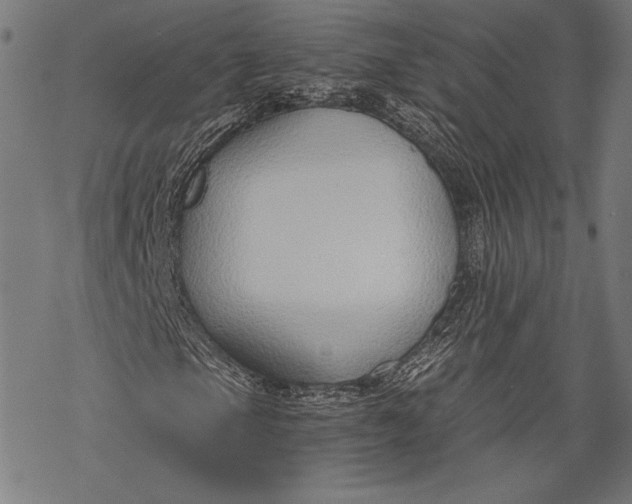 X0000068311105200605051523