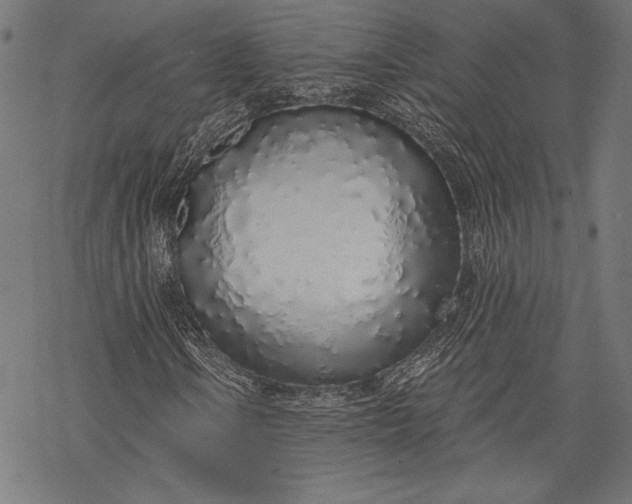 X0000068311106200605051523