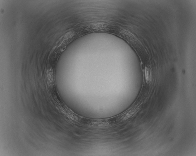 X0000068311107200605051523