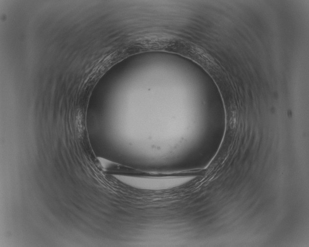 X0000068311108200605051523