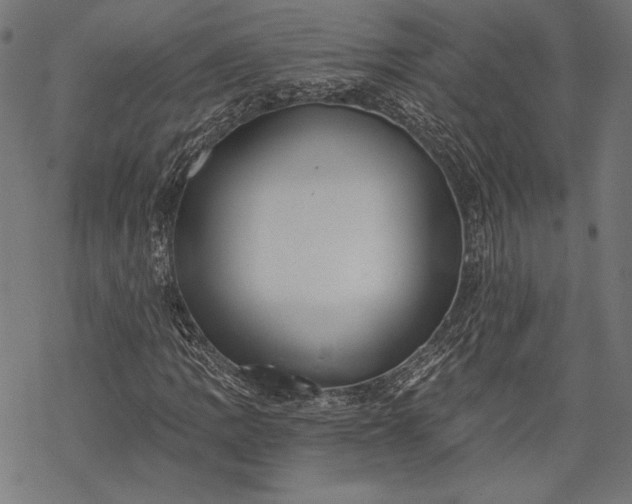 X0000068311109200605051523