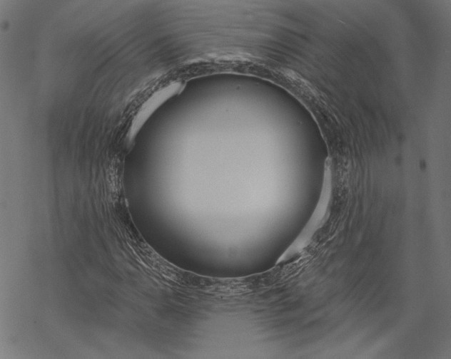 X0000068311110200605051524