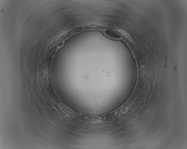 X0000068311111200605051524