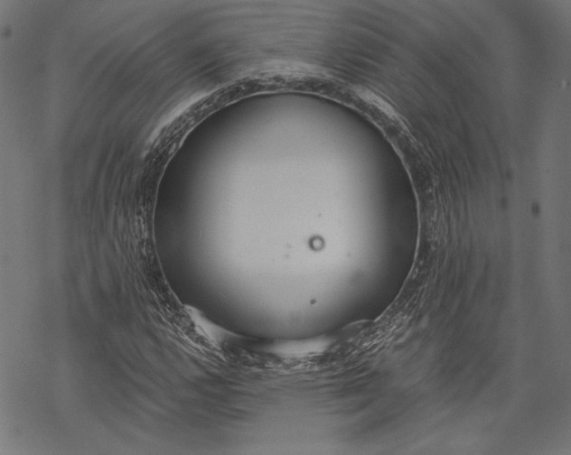 X0000068311112200605051524