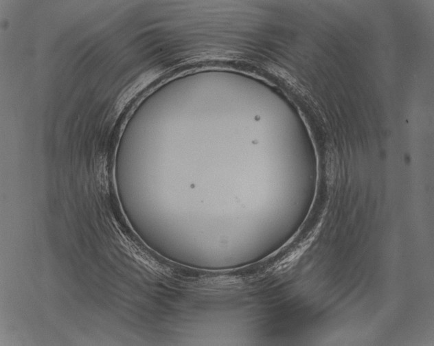 X0000068311113200605051524