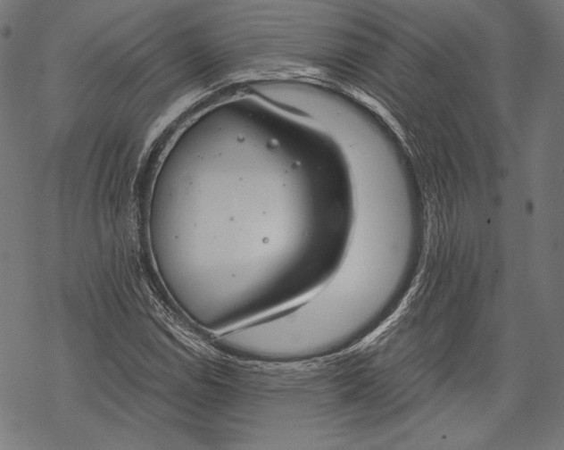 X0000068311114200605051524