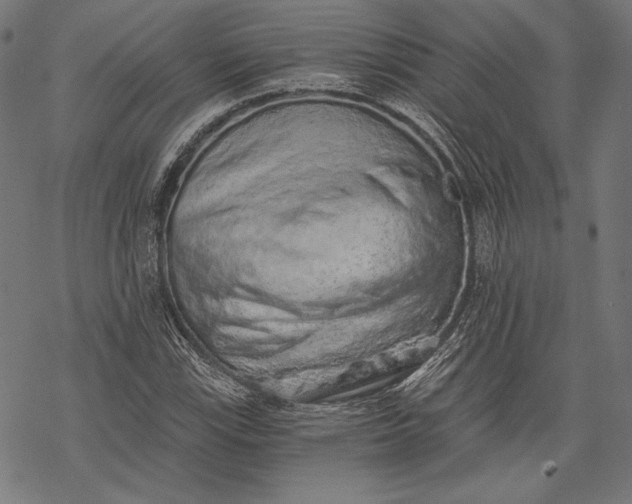 X0000068311115200605051524