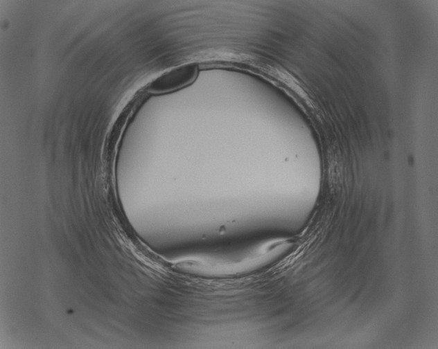 X0000068311116200605051524