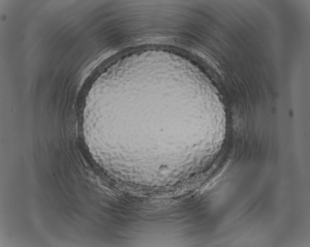 X0000068311117200605051524