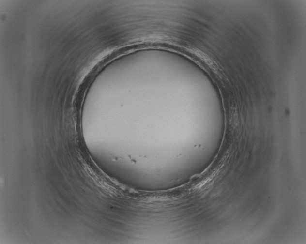 X0000068311118200605051524