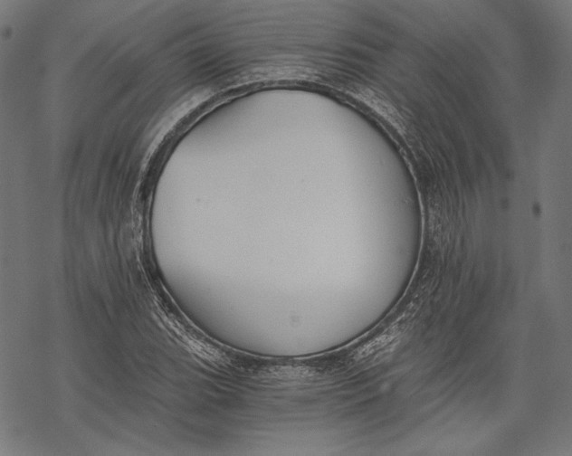 X0000068311119200605051524