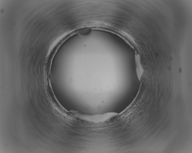 X0000068311120200605051524