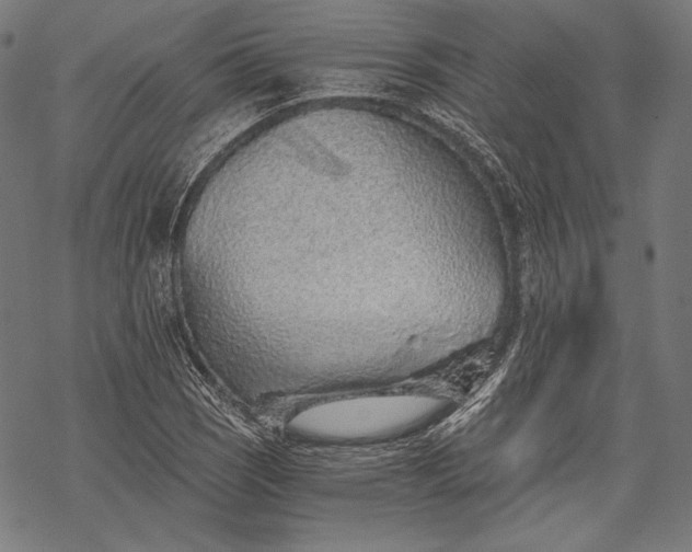 X0000068311121200605051524