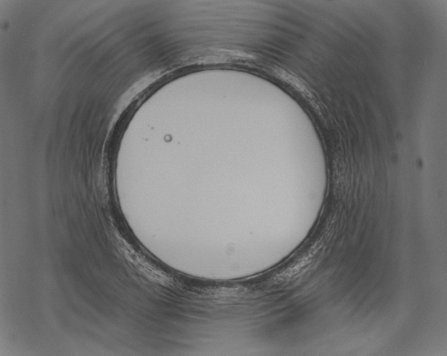 X0000068311122200605051524