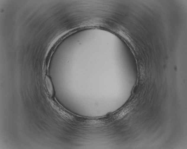 X0000068311124200605051524