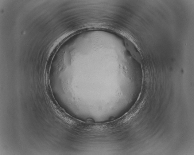 X0000068311125200605051524