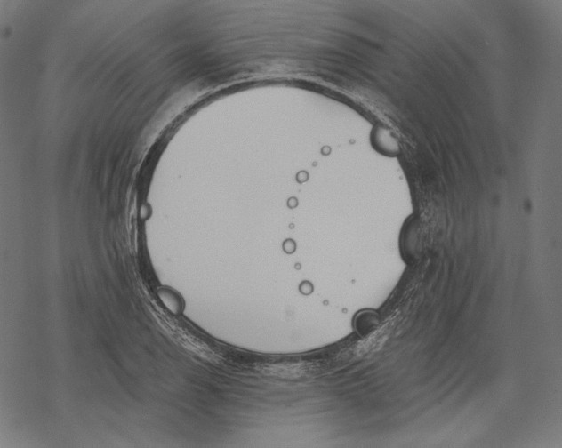 X0000068311126200605051524