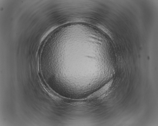 X0000068311127200605051524