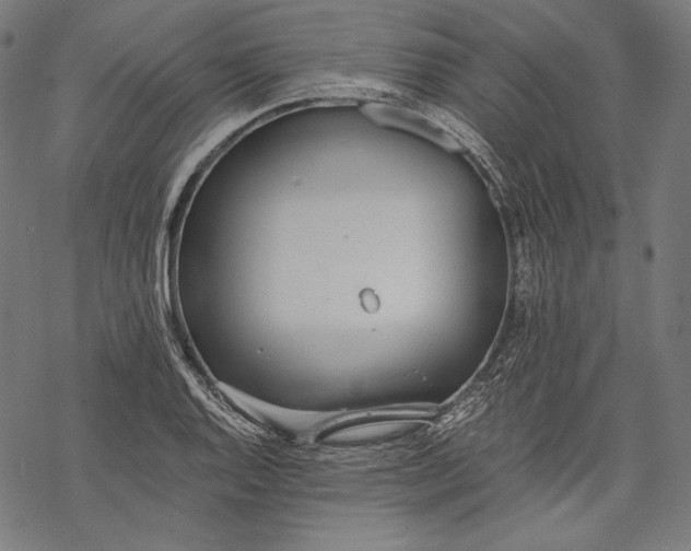 X0000068311128200605051524