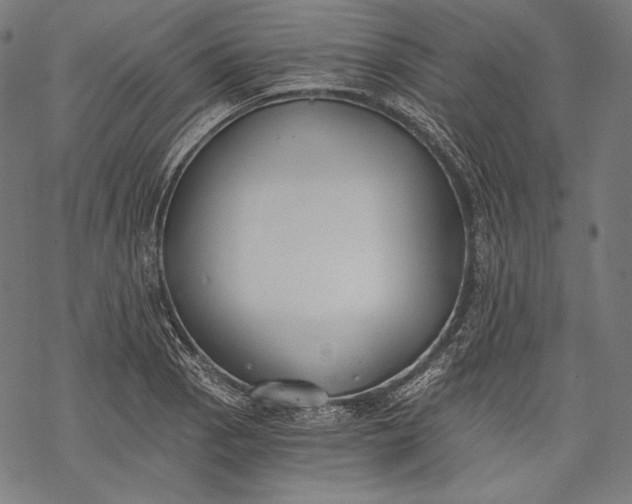 X0000068311129200605051524