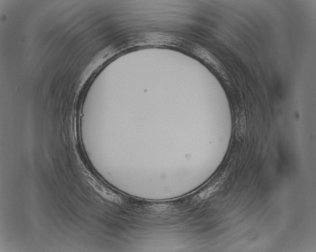 X0000068311130200605051524