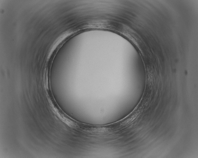 X0000068311131200605051524