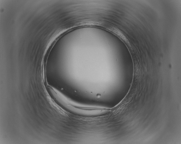 X0000068311132200605051524