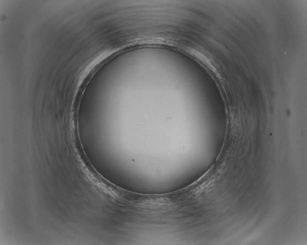 X0000068311133200605051524