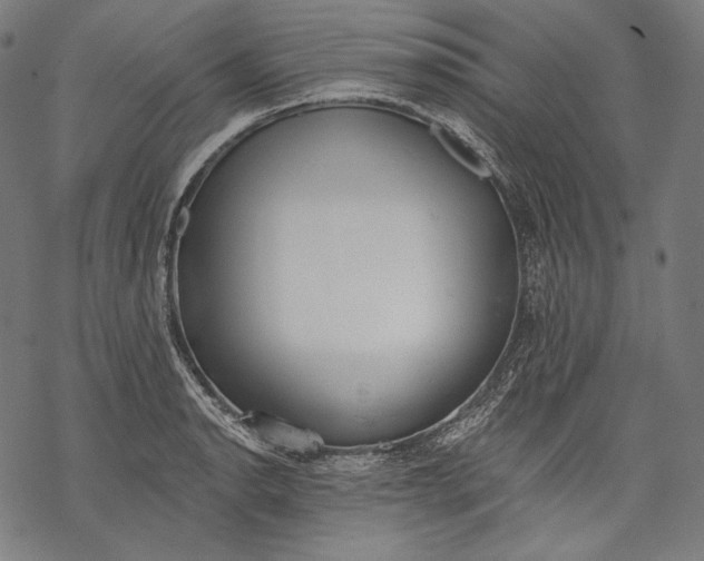 X0000068311134200605051524