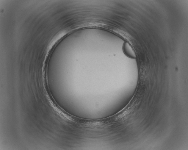 X0000068311135200605051524