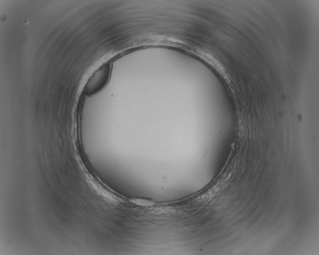 X0000068311136200605051524