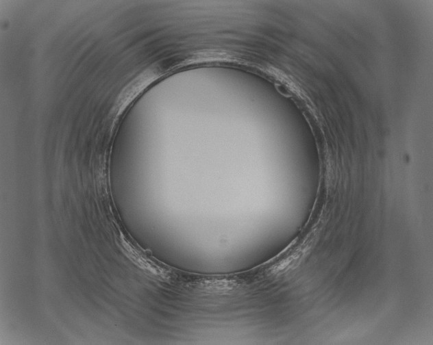 X0000068311137200605051524