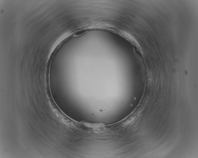 X0000068311138200605051524