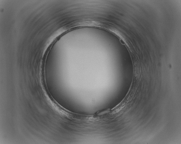 X0000068311139200605051524