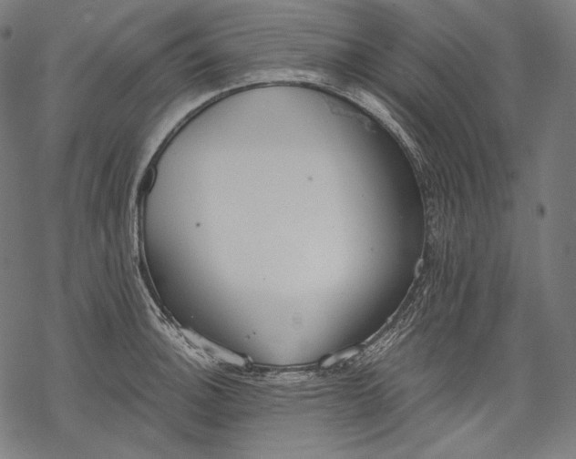 X0000068311140200605051524