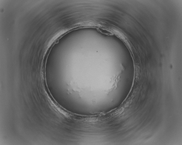 X0000068311141200605051524