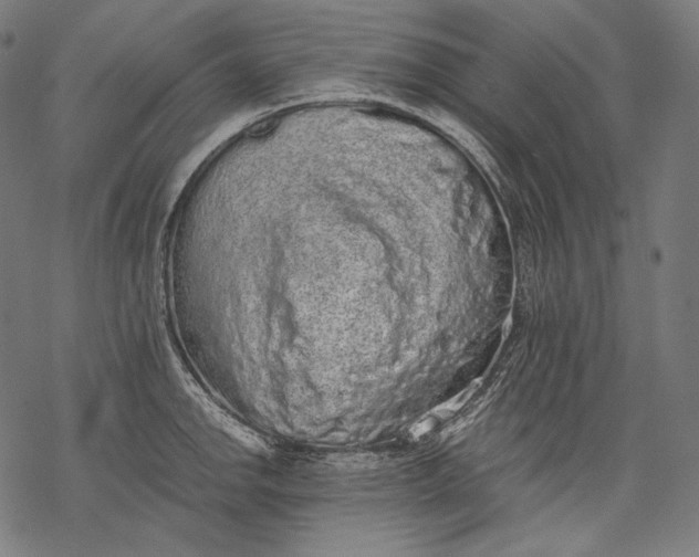 X0000068311142200605051524