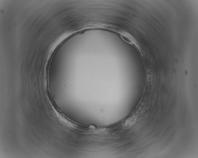 X0000068311143200605051524