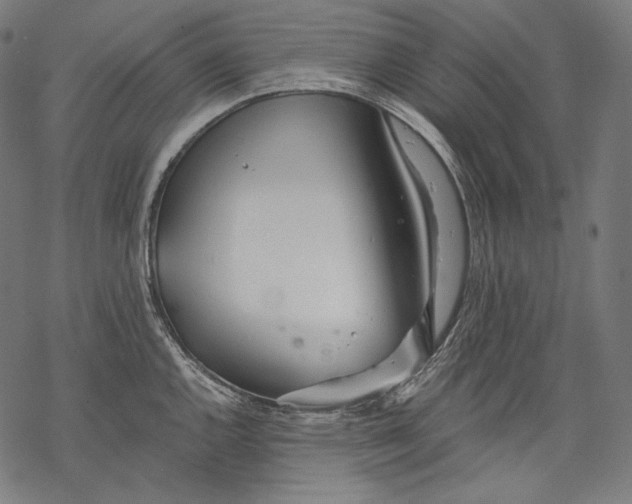 X0000068311144200605051524