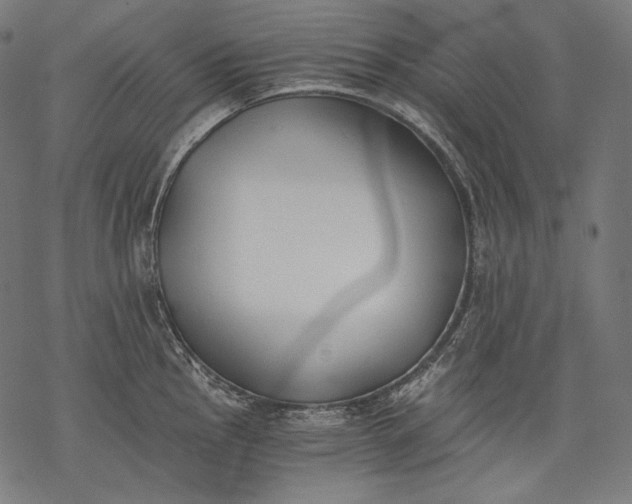 X0000068311145200605051524