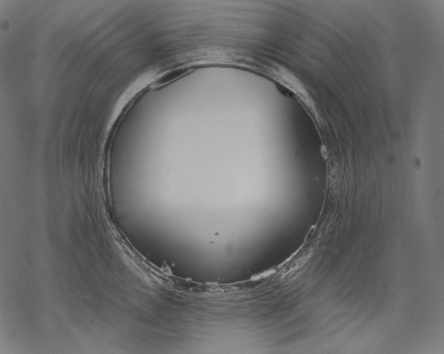 X0000068311146200605051524